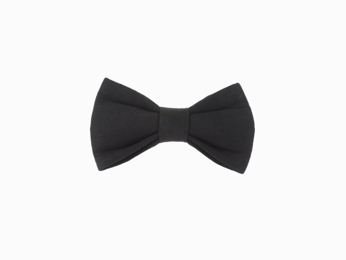 Бабочка-галстук "Recardo"